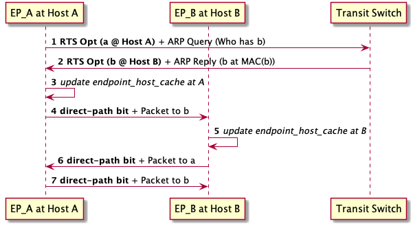 Direct-path inter-network packet flow