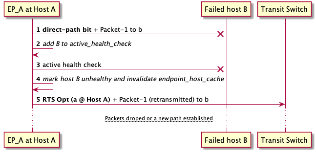Direct-path inter-network packet flow